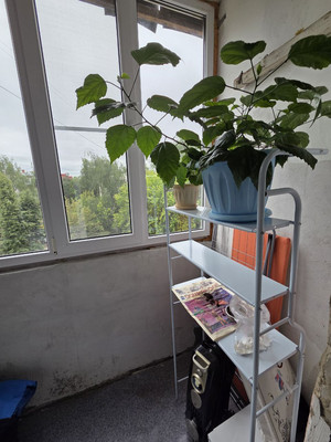 Продам двухкомнатную (2-комн.) квартиру, Красноармейская ул, 44А, Йошкар-Ола г