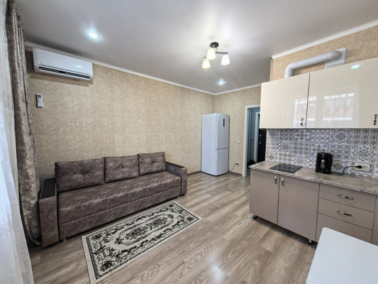 Продам однокомнатную (1-комн.) квартиру, Котанова ул, 2к1, Новороссийск г