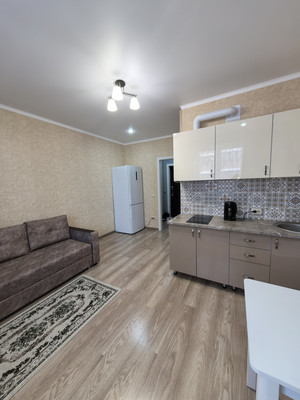 Продам однокомнатную (1-комн.) квартиру, Котанова ул, 2к1, Новороссийск г