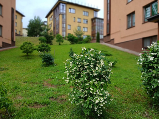 Продам однокомнатную (1-комн.) квартиру, Горная ул, 23Ак8, Мистолово д