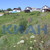 Продам участок 12 соток, Фермерское хоз., Горизонт тер. ДНТ, Солонцы п, 0 км от города