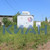 Продам участок 12 соток, Фермерское хоз., Горизонт тер. ДНТ, Солонцы п, 0 км от города