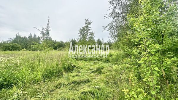 Продам участок 7 соток, Садоводство, Серебряный Ручей тер. СНТ, 12, Белоостров массив, 30 км от города