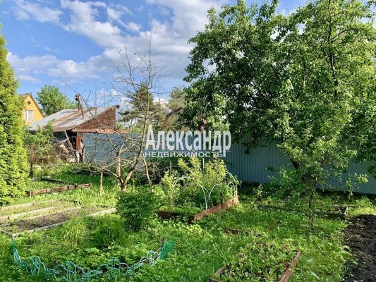 Продам участок 6 соток, Садоводство, 6-я (Дружба-2 тер. СНТ) аллея, 180, Сады массив, 30 км от города