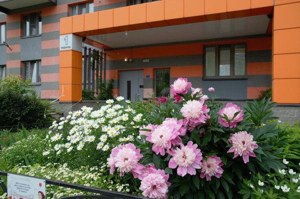 Продам двухкомнатную (2-комн.) квартиру, Дунайский пр-кт, 14Ак1, Санкт-Петербург г