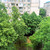 Продам однокомнатную (1-комн.) квартиру, Уральская ул, 148, Краснодар г