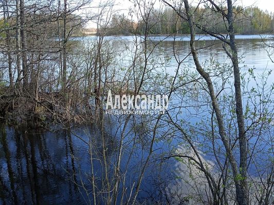 Продам участок 220 соток, Фермерское хоз., Мыс п, 120 км от города