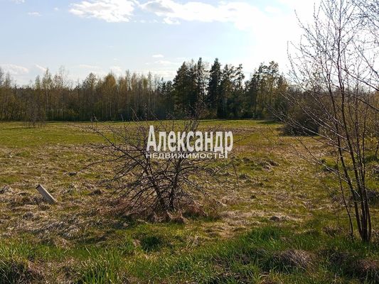 Продам участок 1 210 соток, Фермерское хоз., Яркое п, 150 км от города