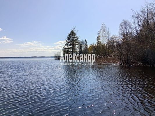 Продам участок 1 210 соток, Фермерское хоз., Яркое п, 150 км от города