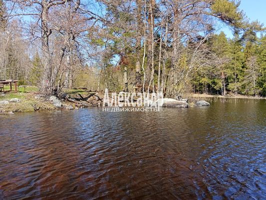 Продам участок 1 210 соток, Фермерское хоз., Яркое п, 150 км от города