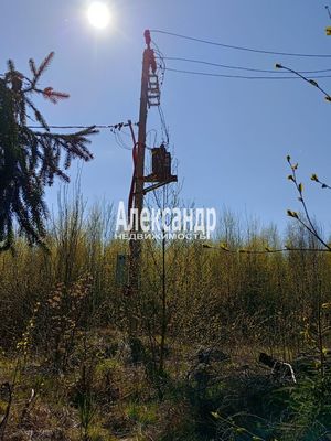 Продам участок 1 210 соток, Фермерское хоз., Яркое п, 150 км от города