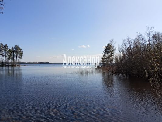 Продам участок 1 210 соток, Фермерское хоз., Яркое п, 150 км от города