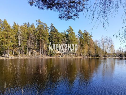 Продам участок 1 210 соток, Фермерское хоз., Яркое п, 150 км от города