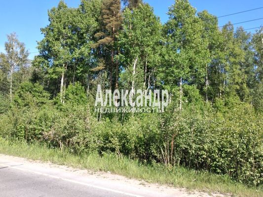 Продам участок 34 соток, Фермерское хоз., Ромашки п, 117 км от города