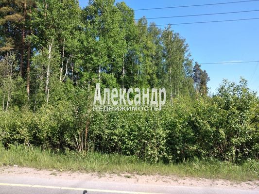 Продам участок 34 соток, Фермерское хоз., Ромашки п, 117 км от города