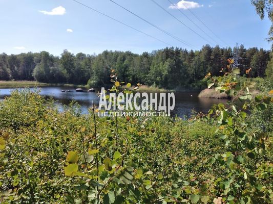Продам участок 34 соток, Фермерское хоз., Ромашки п, 117 км от города