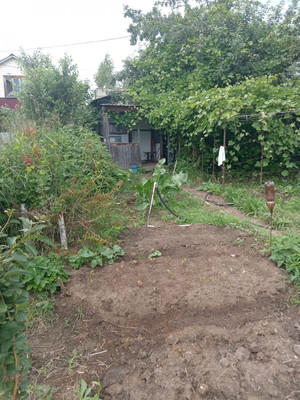 Продам дачу, Березка(Васильевский СМС) снт, Васильево пгт, 0 км от города