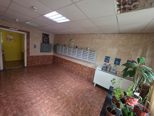 Продам трехкомнатную (3-комн.) квартиру, Мытищинская ул, 24А, Троицкое с