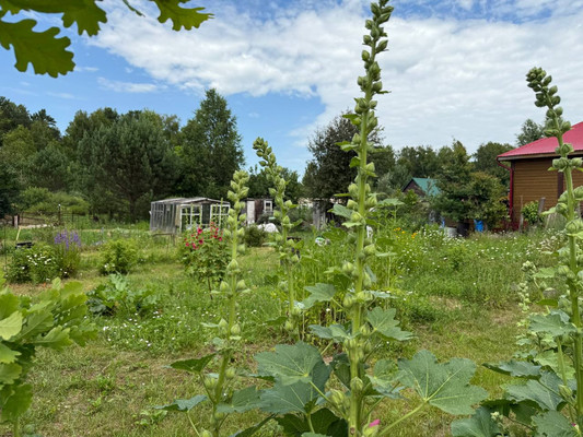 Продам дачу, 292, Котельщик снт, 0 км от города