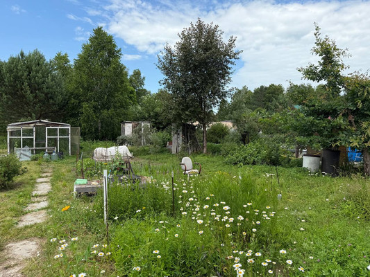 Продам дачу, 292, Котельщик снт, 0 км от города