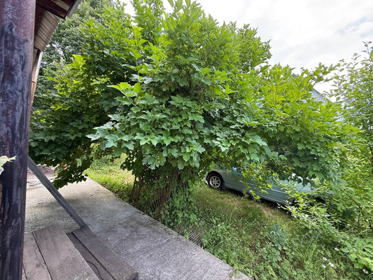 Продам дачу, 292, Котельщик снт, 0 км от города