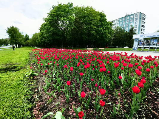 Продам трехкомнатную (3-комн.) квартиру, Варшавское ш, 69к2, Москва г