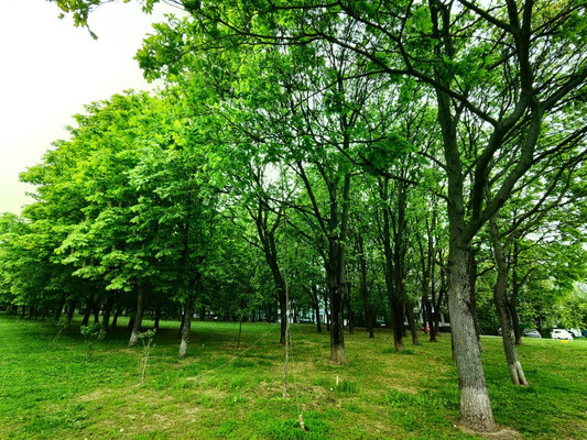 Продам трехкомнатную (3-комн.) квартиру, Варшавское ш, 69к2, Москва г