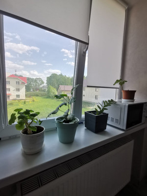 Продам однокомнатную (1-комн.) квартиру, Панева ул, 1/2, Сыктывкар г