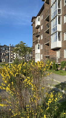 Продам однокомнатную (1-комн.) квартиру, Рабочая ул, 48б, Пионерский г