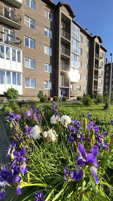 Продам однокомнатную (1-комн.) квартиру, Рабочая ул, 48б, Пионерский г