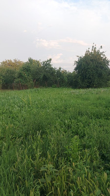 Продам участок 10 соток, ИЖС, Ленина ул, Новотитаровская ст-ца, 0 км от города