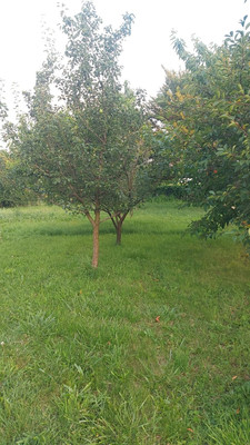 Продам участок 10 соток, ИЖС, Ленина ул, Новотитаровская ст-ца, 0 км от города