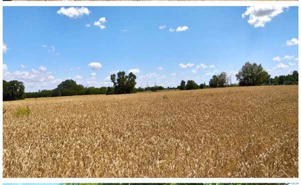 Продам землю для коммерческого использования 1 400 соток, Фермерское хоз., Мира ул, Мишкинская ст-ца