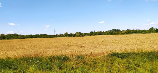 Продам землю для коммерческого использования 1 400 соток, Фермерское хоз., Мира ул, Мишкинская ст-ца