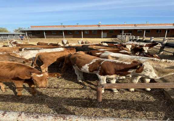 Продам землю для коммерческого использования 1 400 соток, Фермерское хоз., Мира ул, Мишкинская ст-ца