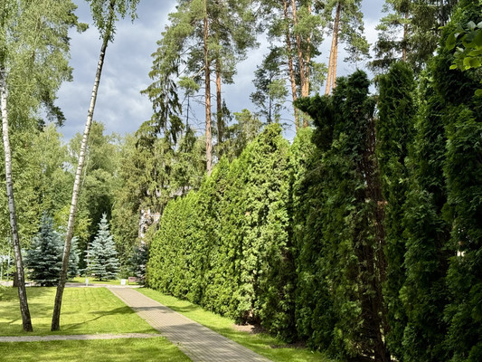 Продам таунхаус, Счастливая ул, 78, Пчелка д, 0 км от города
