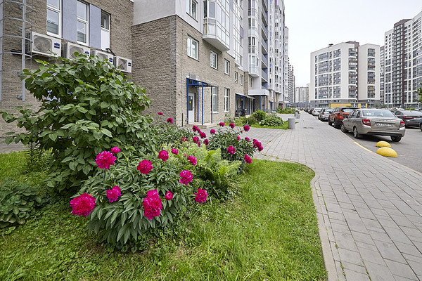 Продам однокомнатную (1-комн.) квартиру, Авиаторов Балтики пр-кт, 11к1, Мурино п