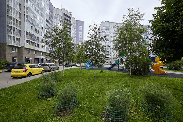 Продам однокомнатную (1-комн.) квартиру, Авиаторов Балтики пр-кт, 11к1, Мурино п