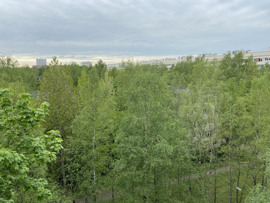 Продам однокомнатную (1-комн.) квартиру, Гражданский пр-кт, 130Ак1, Санкт-Петербург г