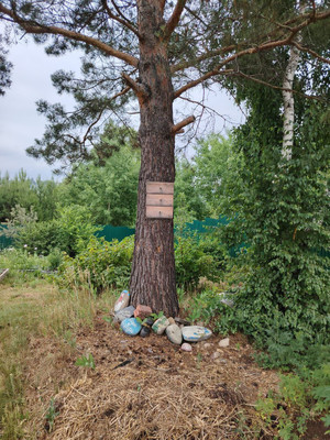 Продам дачу, 250, Багульник тер. СНТ, 0 км от города