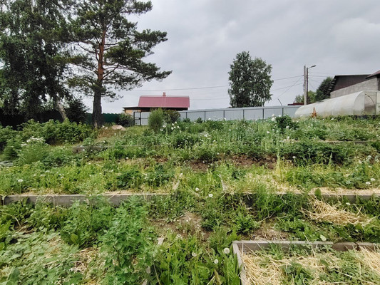 Продам дачу, 250, Багульник тер. СНТ, 0 км от города