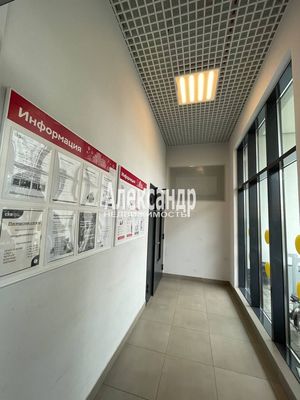 Продам однокомнатную (1-комн.) квартиру, Пейзажная ул, 24к1, Санкт-Петербург г