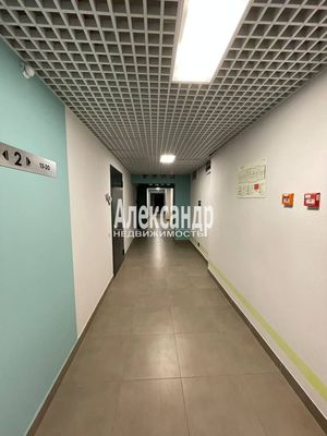 Продам однокомнатную (1-комн.) квартиру, Пейзажная ул, 24к1, Санкт-Петербург г