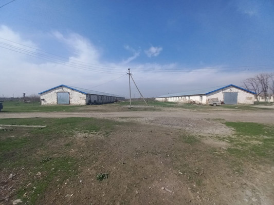 Продам коммерческое помещение 220 548 м2, Пилипенко ул, Солдатская ст-ца