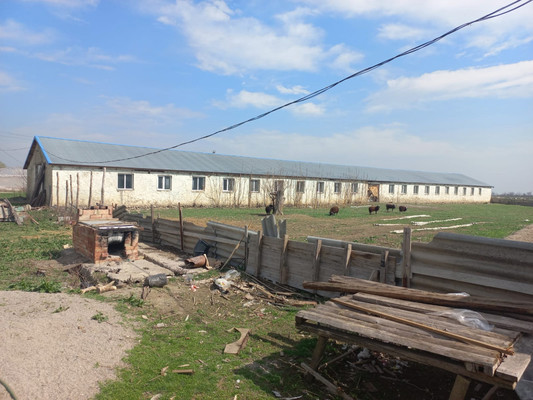 Продам коммерческое помещение 220 548 м2, Пилипенко ул, Солдатская ст-ца