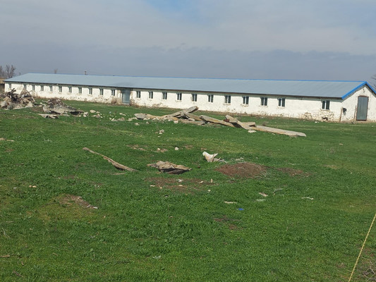 Продам коммерческое помещение 220 548 м2, Пилипенко ул, Солдатская ст-ца