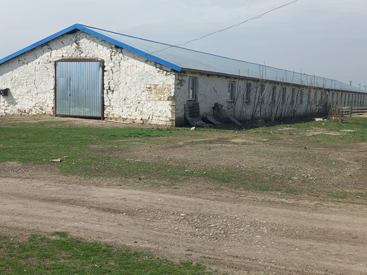 Продам коммерческое помещение 220 548 м2, Пилипенко ул, Солдатская ст-ца