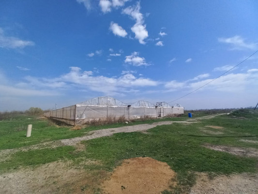 Продам коммерческое помещение 220 548 м2, Пилипенко ул, Солдатская ст-ца