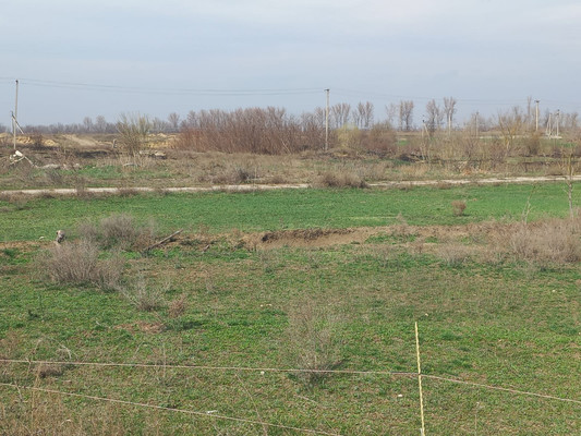 Продам коммерческое помещение 220 548 м2, Пилипенко ул, Солдатская ст-ца