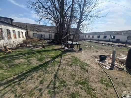 Продам коммерческое помещение 220 548 м2, Пилипенко ул, Солдатская ст-ца